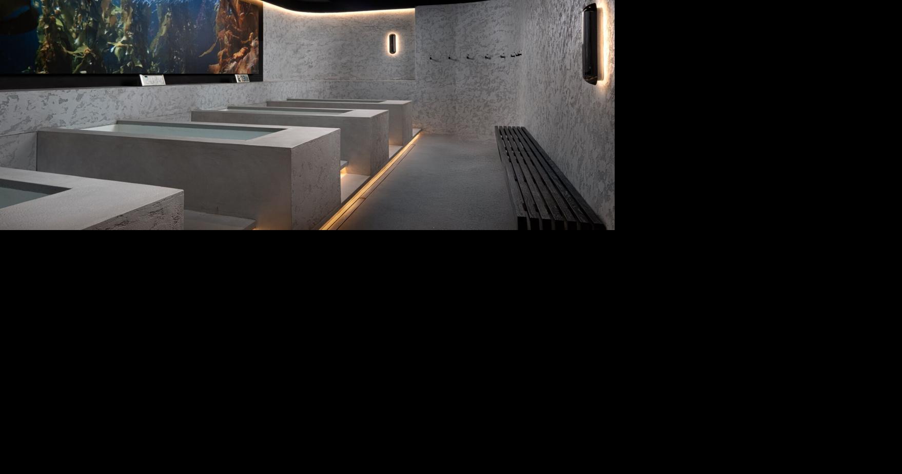 New Toronto wellness spot has a first-of-its-kind cold plunge and a 60-person sauna