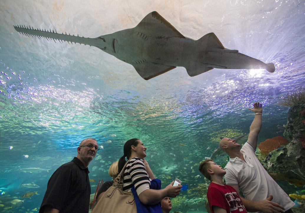 10-things-to-do-for-family-day-this-long-weekend