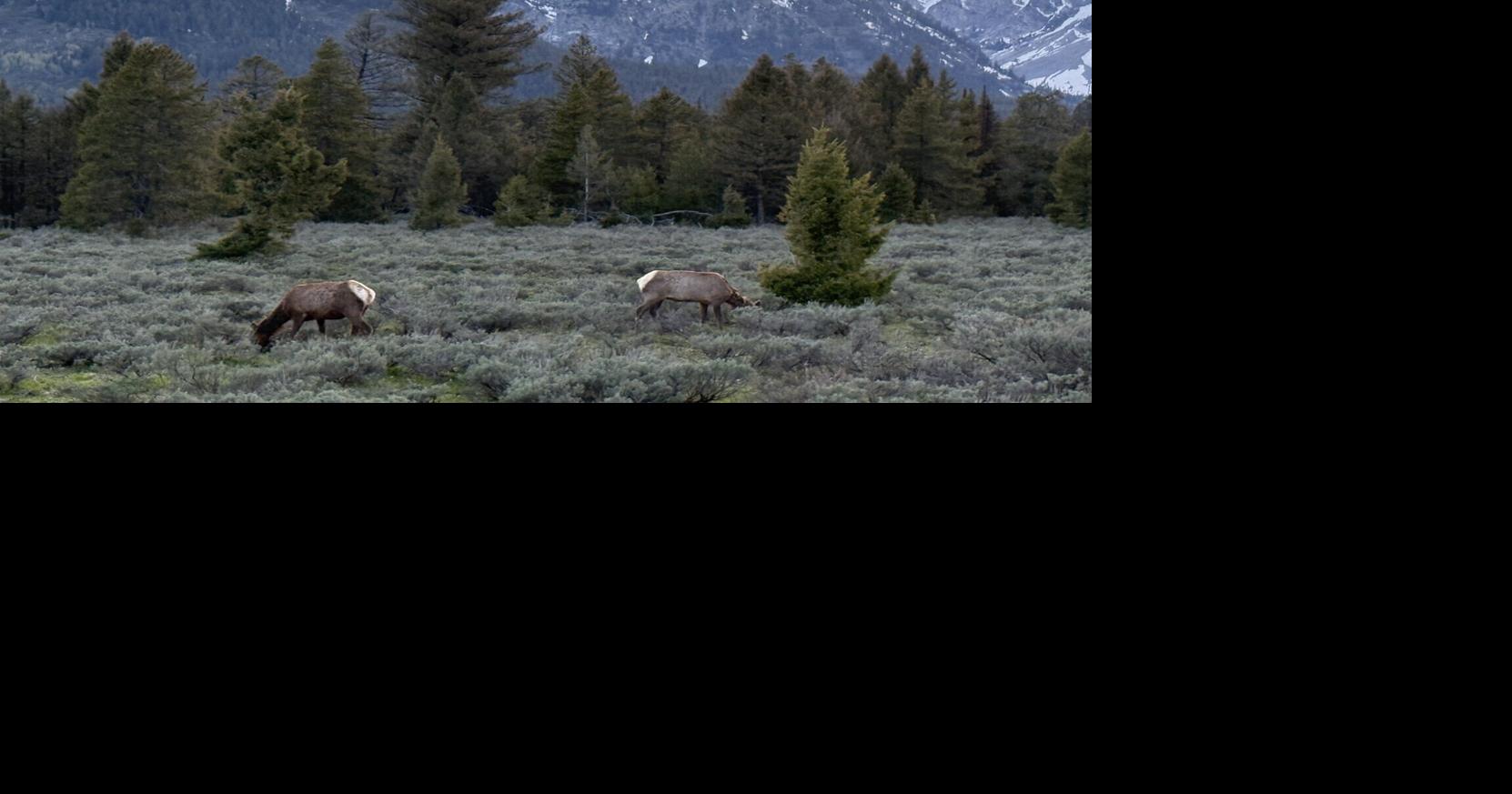 Mother-Daughter Bonding Adventure in Jackson Hole's Nature