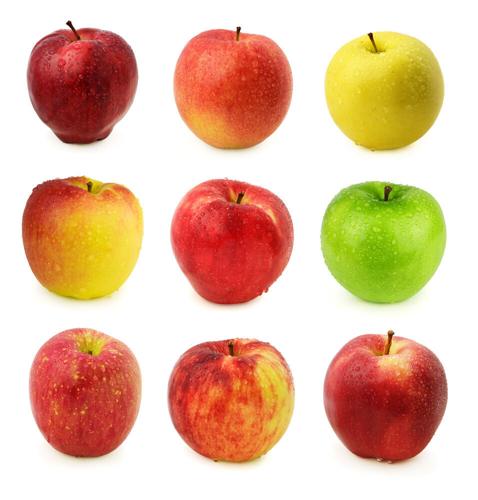 Ontario Apple Varieties - Types of Apples - OAG