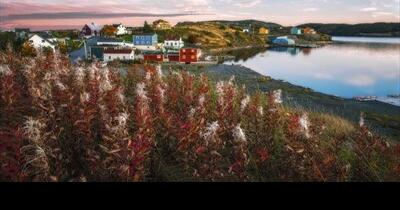 Tiny towns, big creative spirit:In Newfoundland's Bonavista Peninsula, I find makers dreaming up pieces with a sense of place | Travel - Vimarsana News