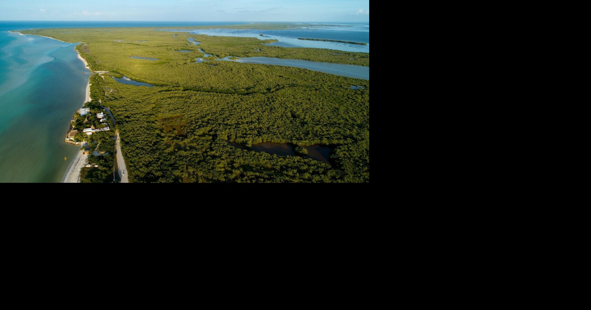 We went looking for the quiet Mexico we remembered and finally found it on Isla Holbox