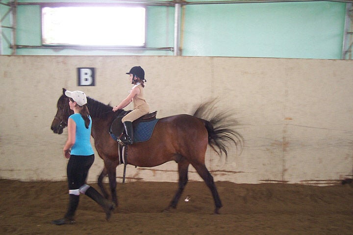 Where to Horseback Ride in Toronto & the GTA