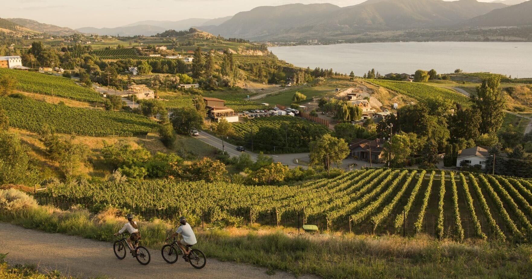 Naramata, B.C.: This peaceful hamlet in the Okanagan Valley feels like J.R.R. Tolkien's fictional Shire | Things To Do - Vimarsana News