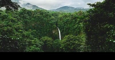 Wouldn't you rather be working from Costa Rica? Here's how you can | Life - Vimarsana News
