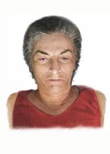 Toronto police release photo of woman found dead in Lake Ontario
