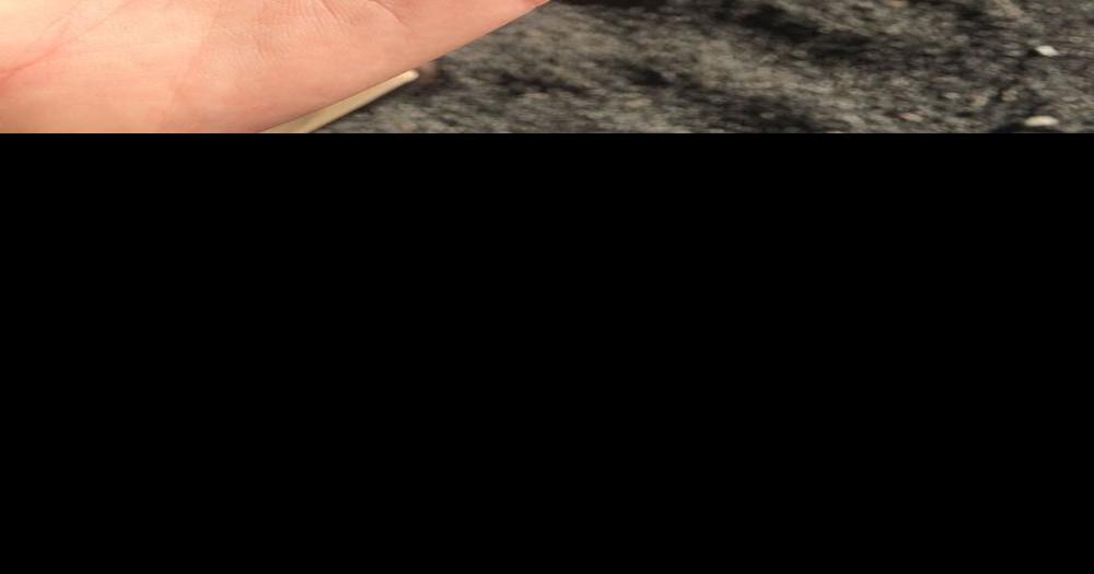 Toronto residents 'shocked, frightened' over razor blades found in