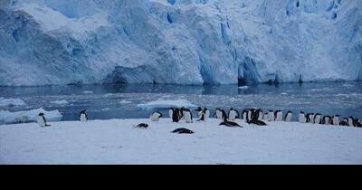 I travelled to the harshest ends of the earth. Antarctica was beyond my wildest dreams - Vimarsana News