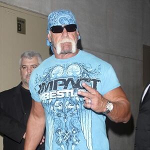 Hulk Hogan defended by pals -Image1