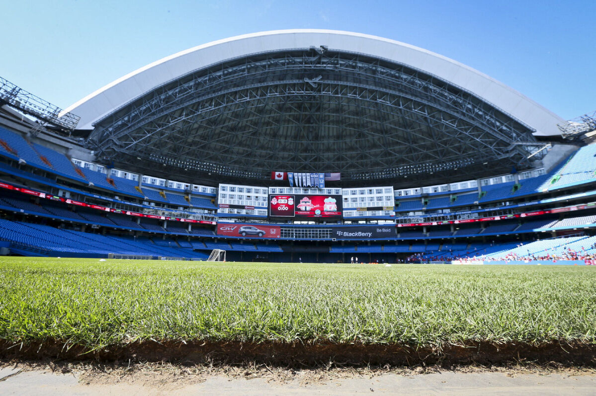 Rogers Centre, Netting