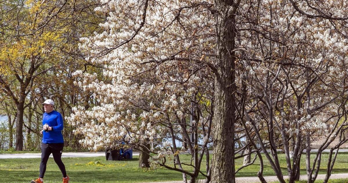 First day of spring 2025: Your guide to the spring equinox arriving in Ontario soon