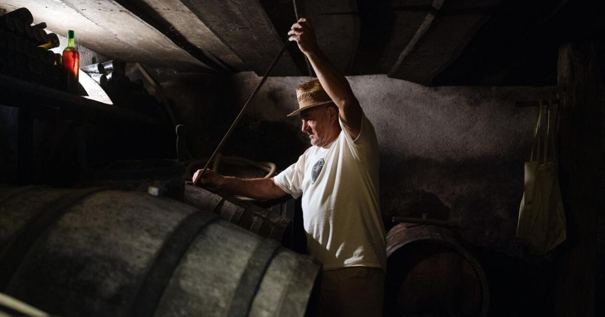 In Slovenia, my funky wine-flowing nights follow wildflower days