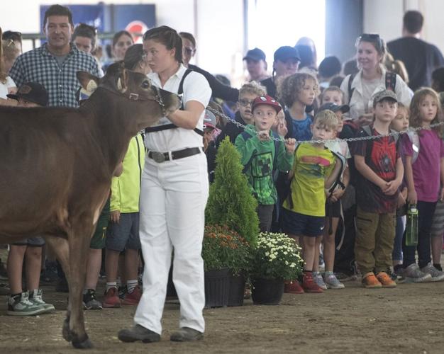 Check out Ontario’s fall fairs for 2024 — more than 200 Things To Do