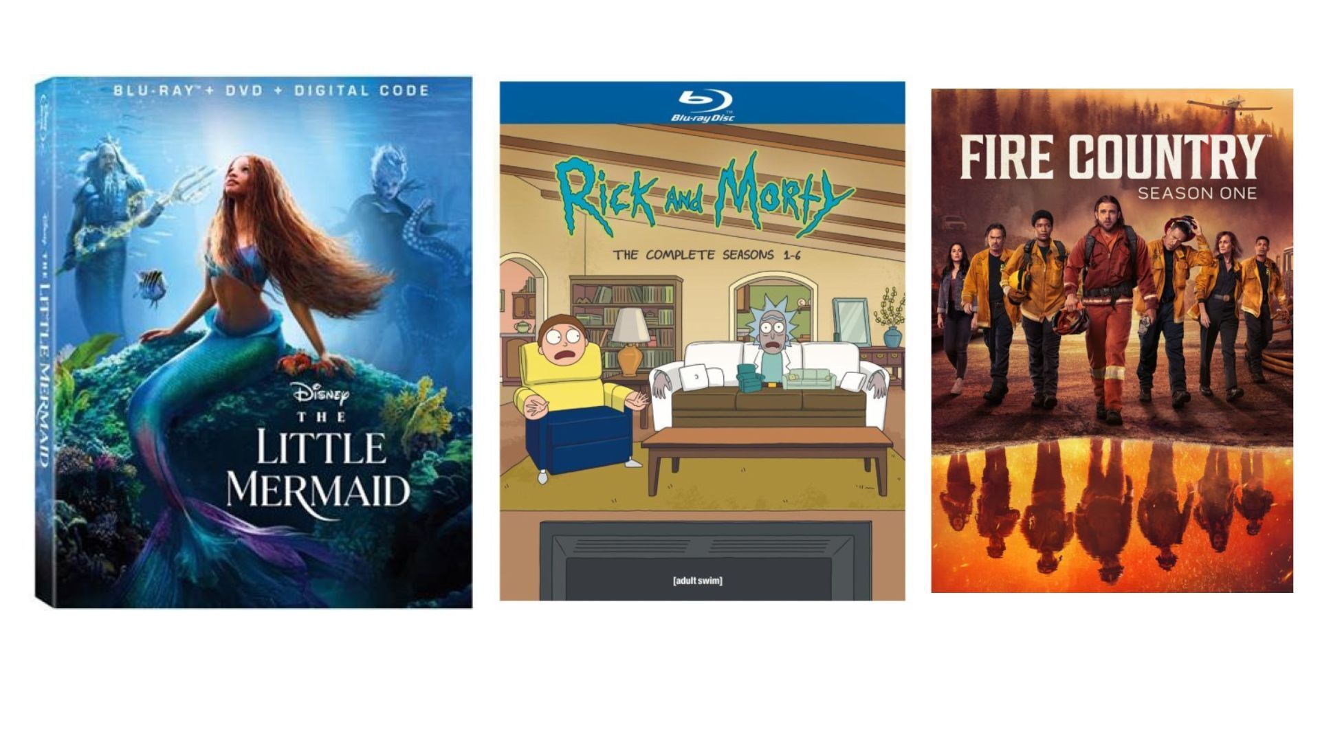 'The Little Mermaid,' 'Rick & Morty' and 'Fire Country' on disc