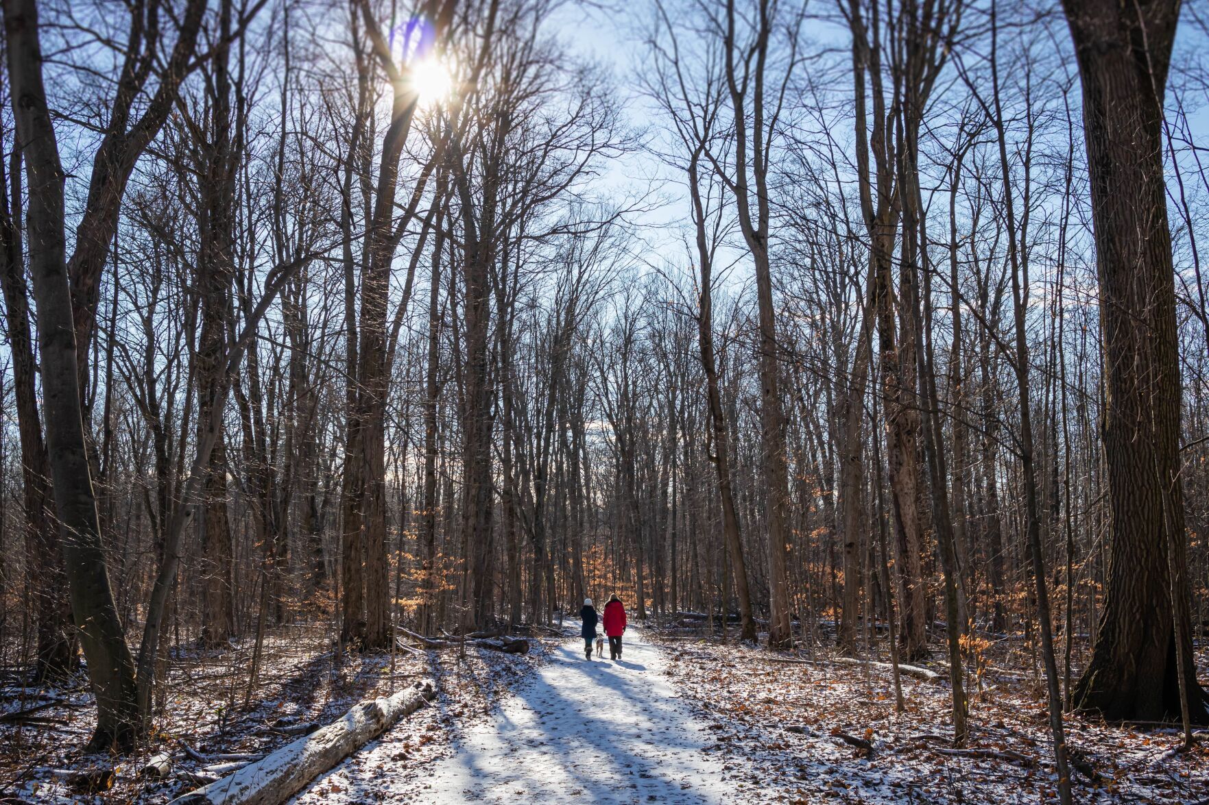 Best winter hiking trails in and around Toronto & the GTA