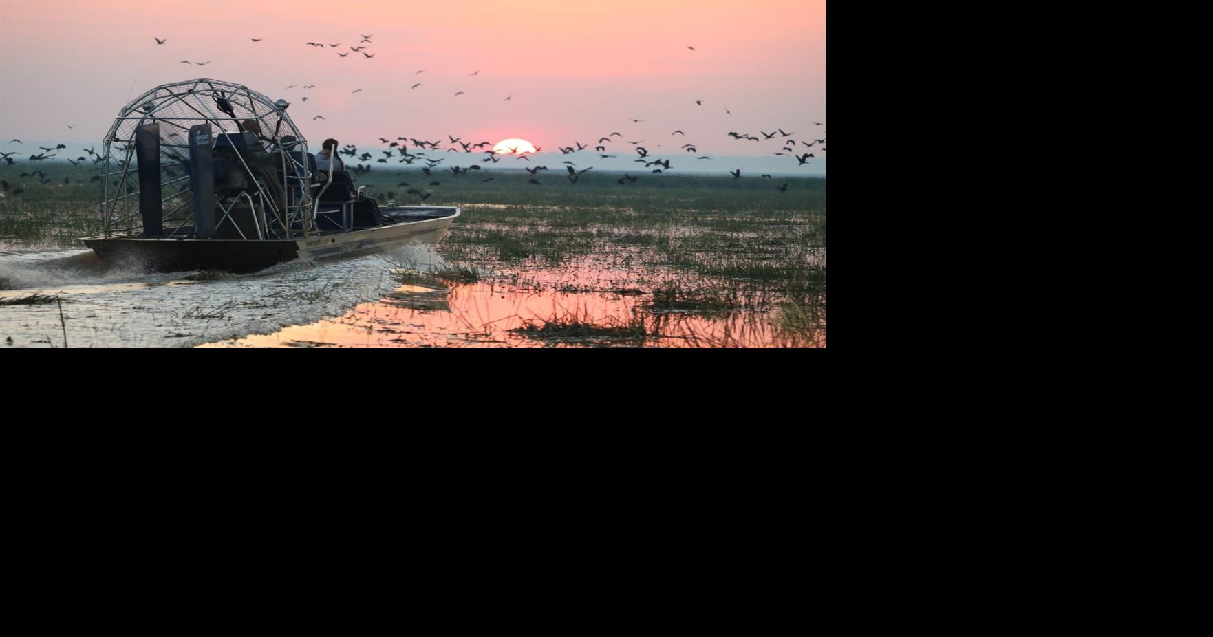 Cute wallabies, killer crocs: I see all sorts of animals wildlife-watching on Australia’s northern frontier