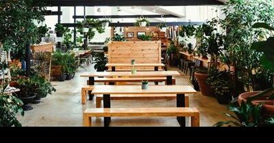 Where to eat across Newfoundland: Cookbook author and 'cultural food ambassador' Lori McCarthy shares her picks for a culinary trail | Travel - Vimarsana News