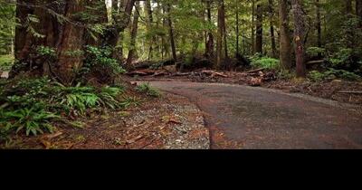 Travel news: P.E.C.'s emerging arts and culture hub, Vancouver Island's national park trail, Quebec vineyards | Travel - Vimarsana News