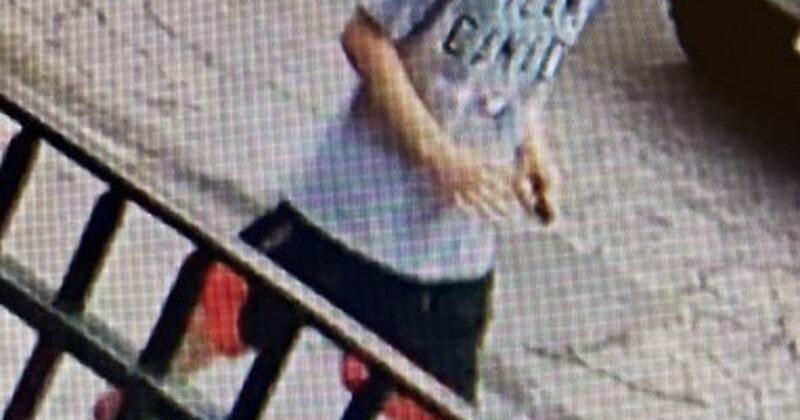 Toronto police looking for man reportedly seen with knife in Riverdale area