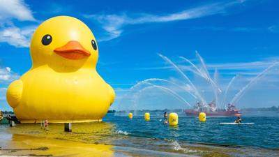 World's biggest rubber duck generates big economic impact for