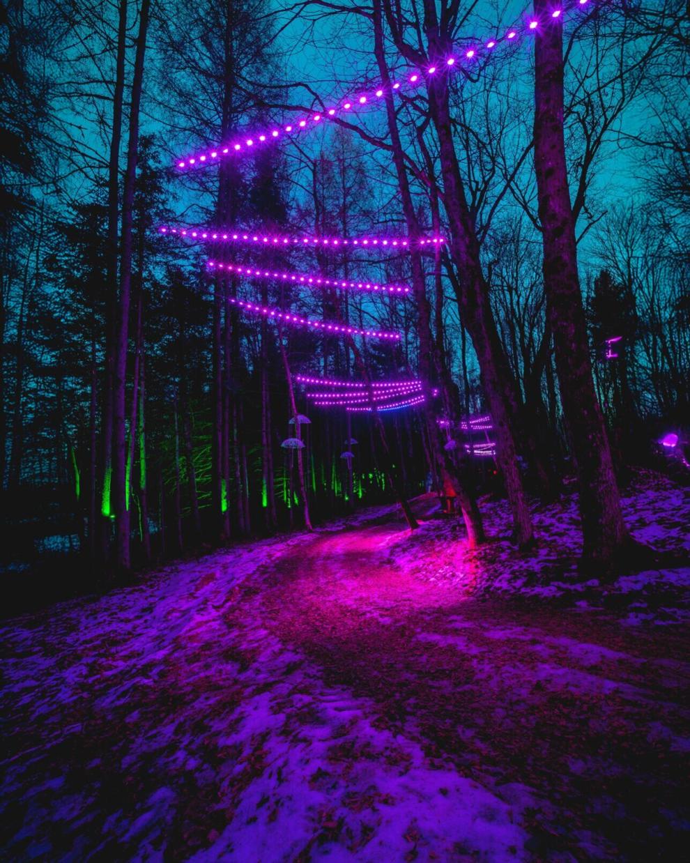 Ontario town has new, enchanting light trail in the forest