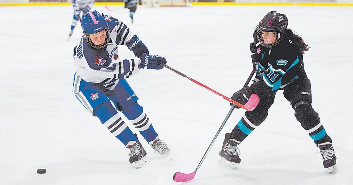 Etobicoke Dolphins host Pink the Rink tournament Life