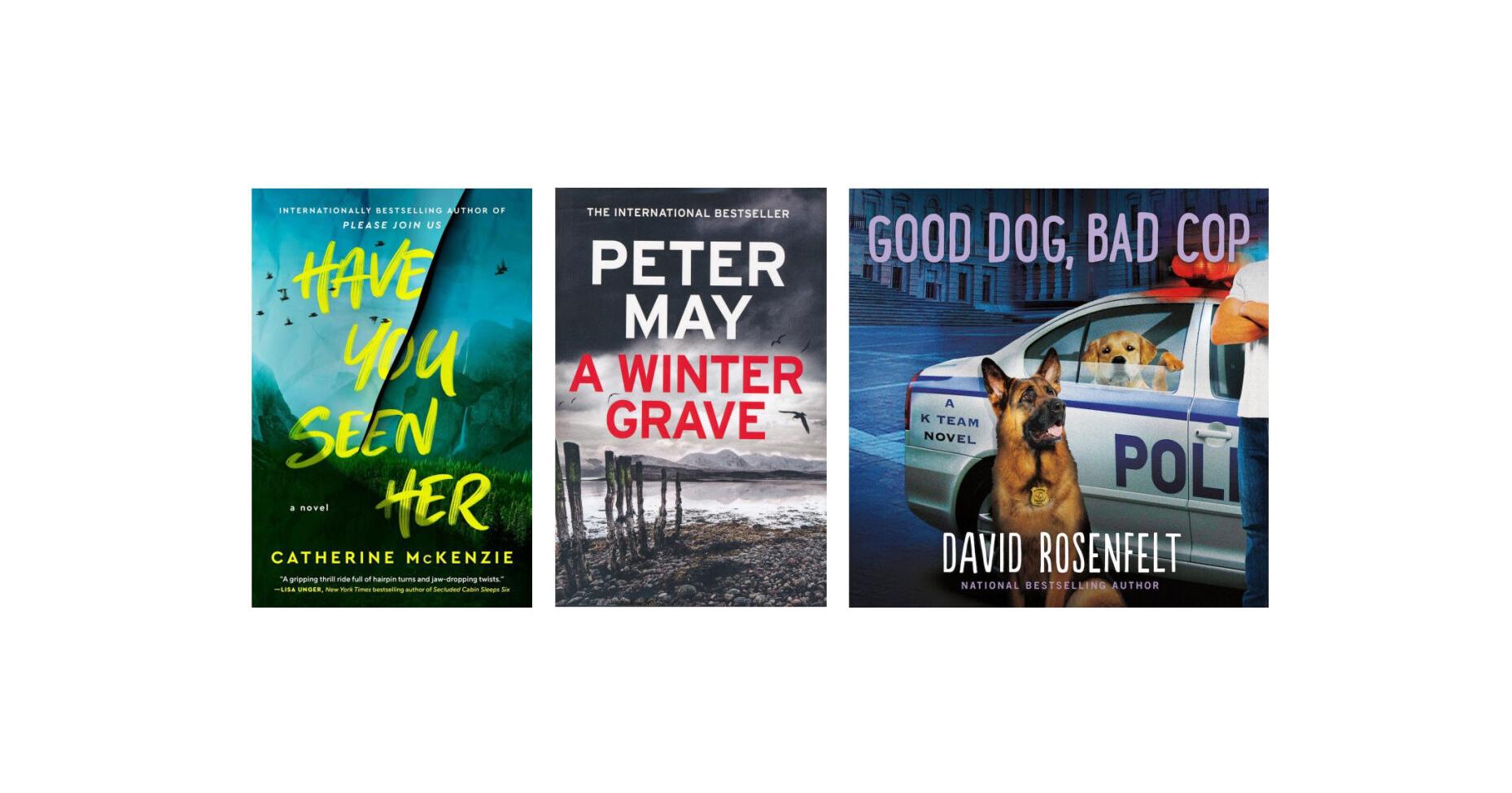 More entertaining novels for summer - Vimarsana News