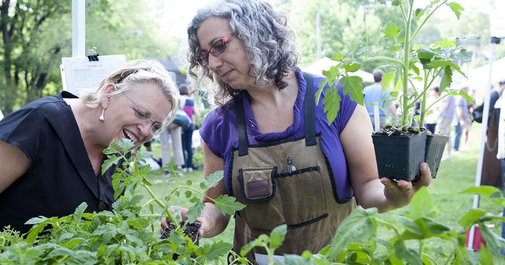 7 ways to support your local business community | News | toronto.com