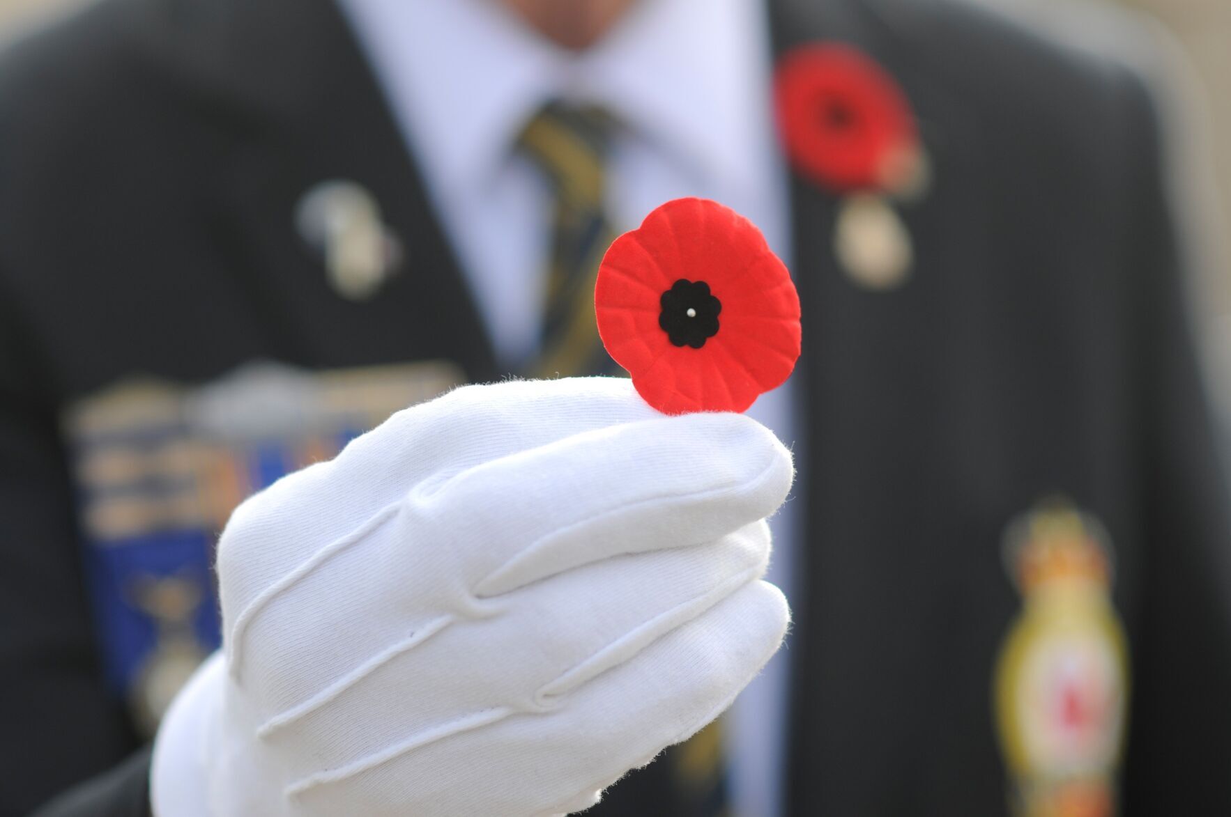 What's new with this year's poppy campaign?