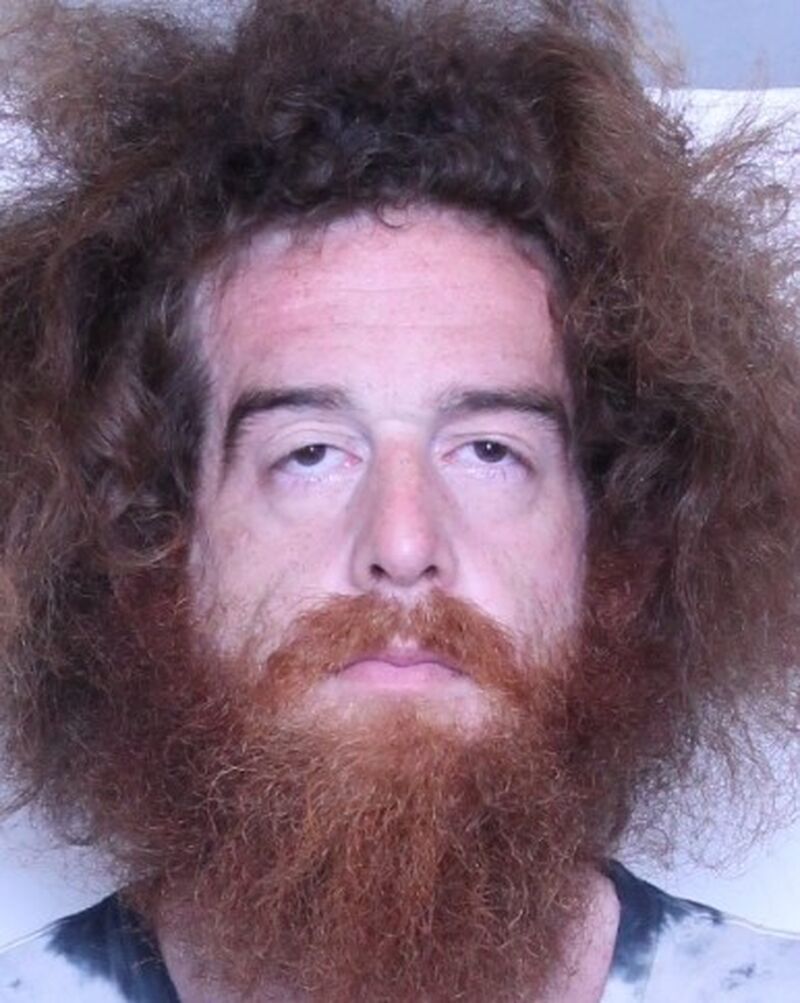Toronto man charged after allegedly exposing himself to girl on TTC ...