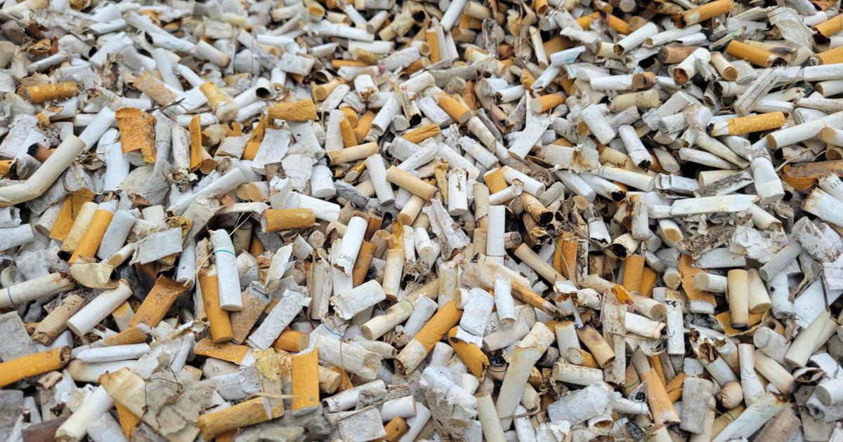 Canadian Cancer Society reacts to tobacco lawsuit settlement | News Canadian Cancer Society reacts to tobacco lawsuit settlement | News