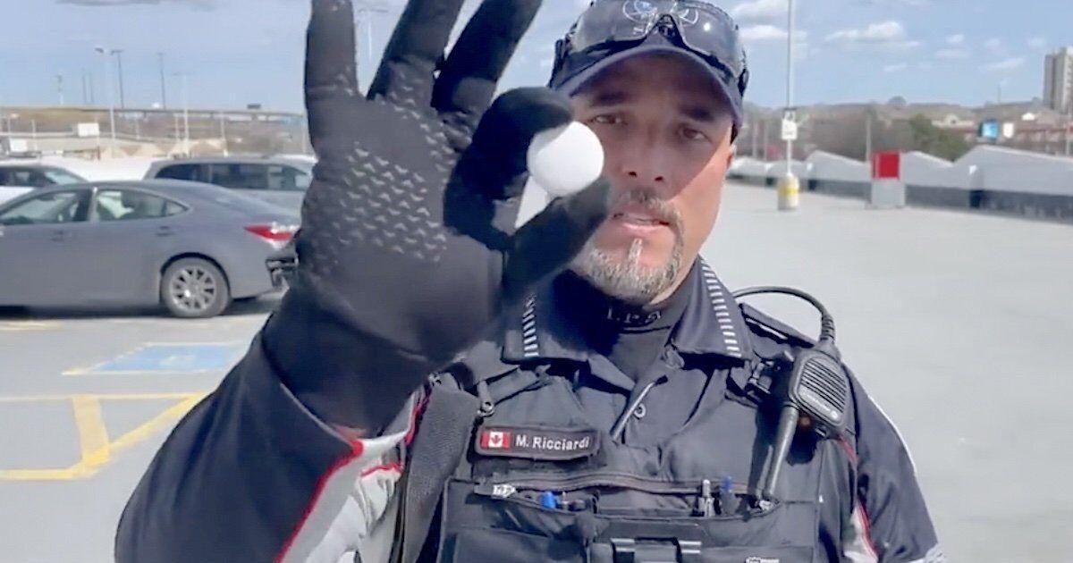 Ontario and Canadian governments crack down on auto theft | News - Vimarsana News
