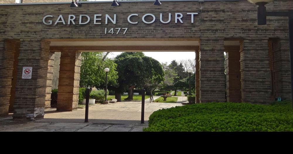 NATURAL ROOTS: Celebrating the Camperdown Elms of The Garden Court