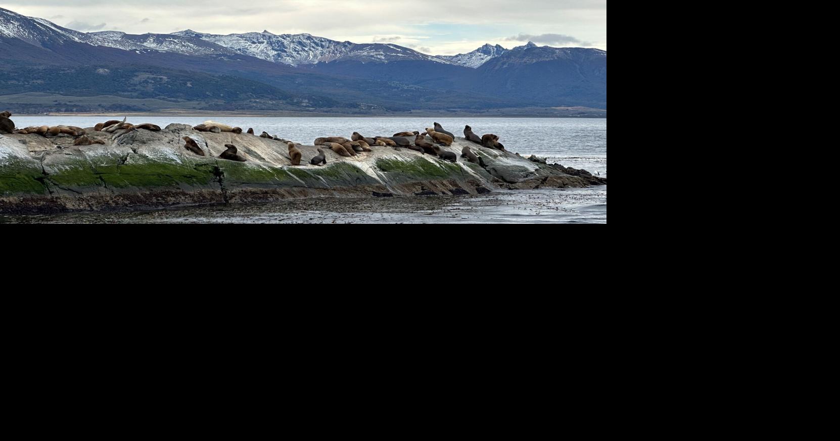 My daughter and I were amazed by our ocean cruise in South America