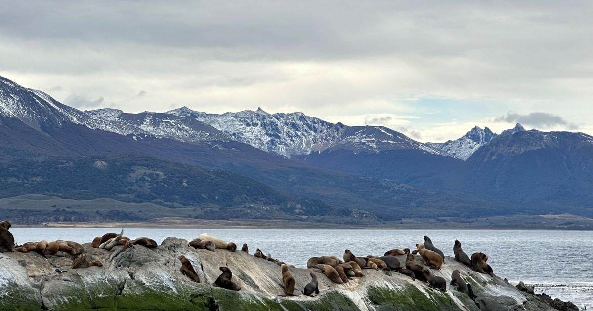 My daughter and I were amazed by our ocean cruise in South America