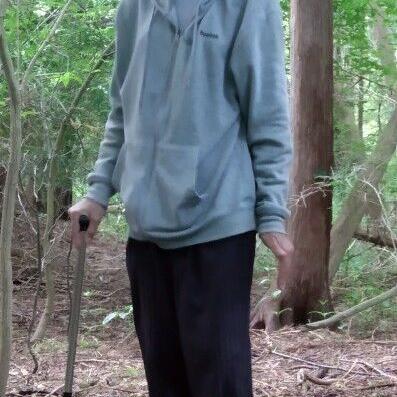 Toronto police seek man after alleged sexual assault at Scarborough park - Vimarsana News