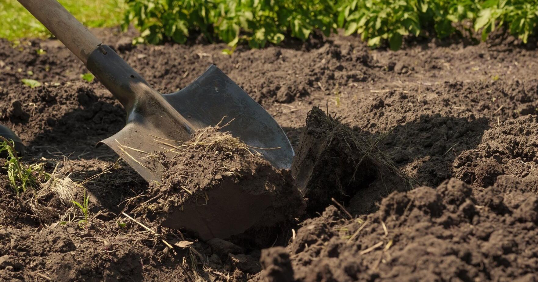Planning an outdoor project? Be sure to call before you dig | News - Vimarsana News
