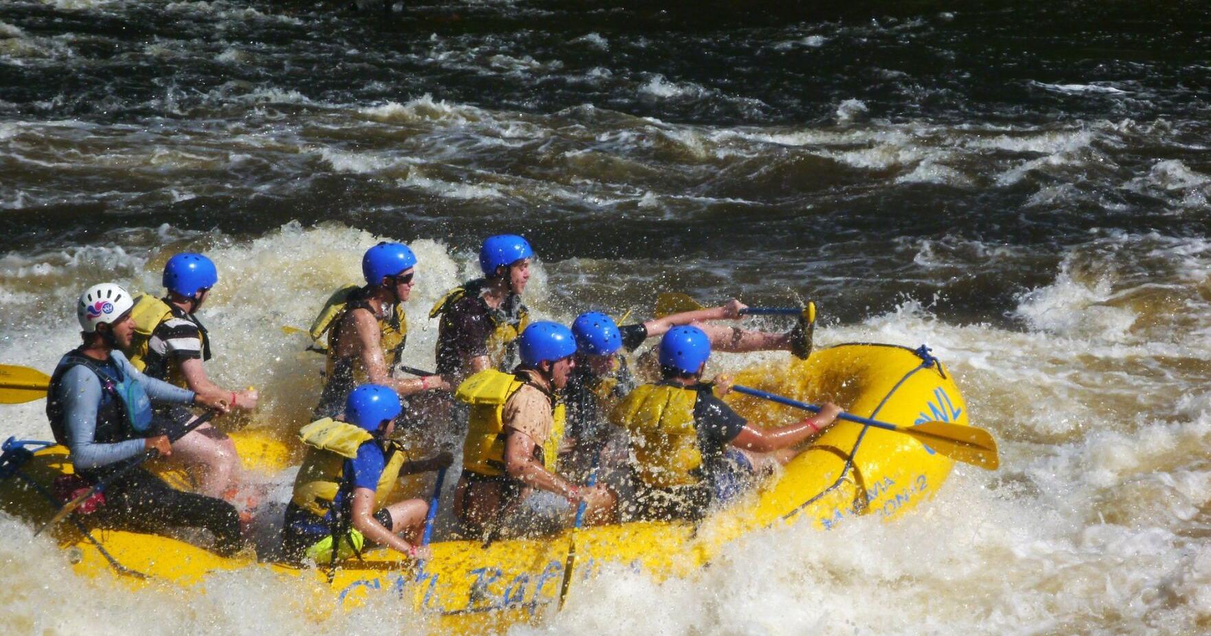 Six truly unique water activities to try out in Ontario this summer - Vimarsana News