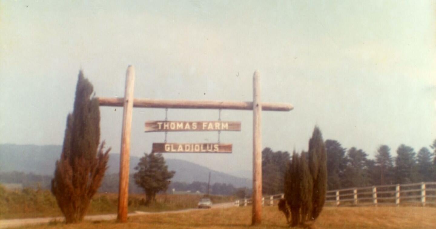 Picturing the past: Everett Farm - Vimarsana News