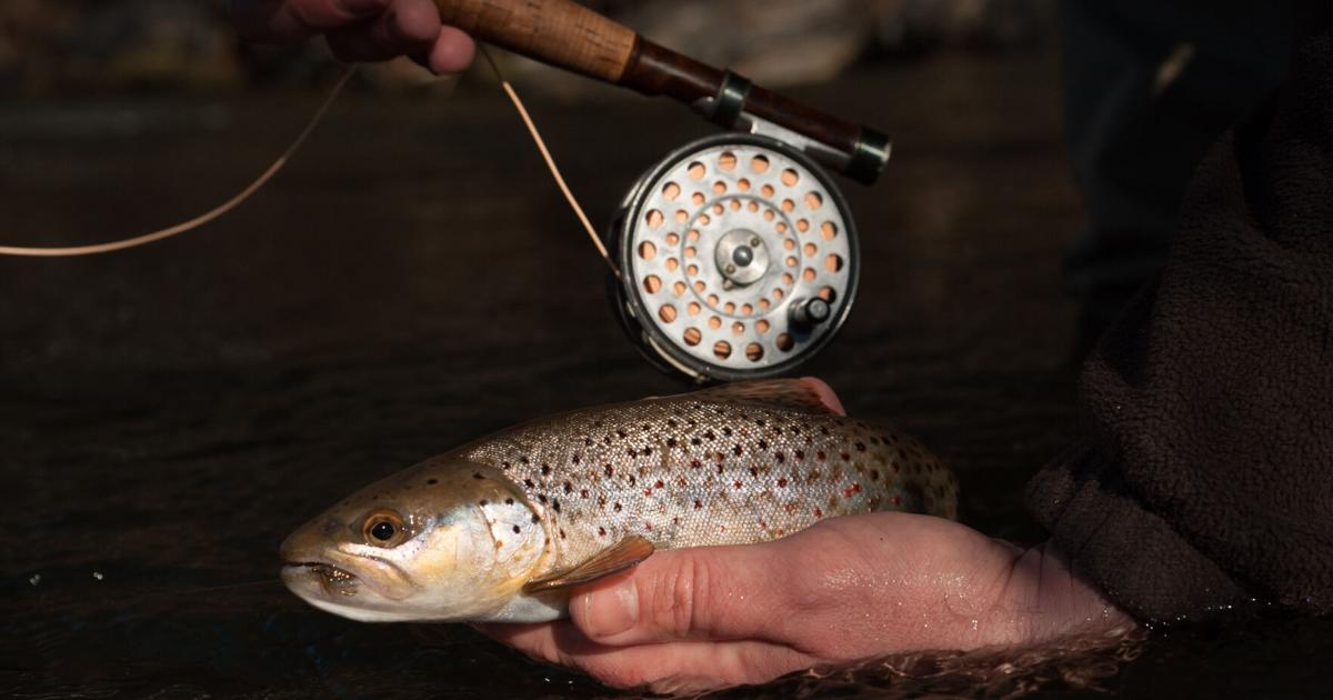 Billion dollar impact of mountain trout fishing in North Carolina |  Sports are over