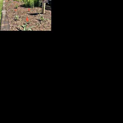 Gorges showcases 'Native Landscape Garden'