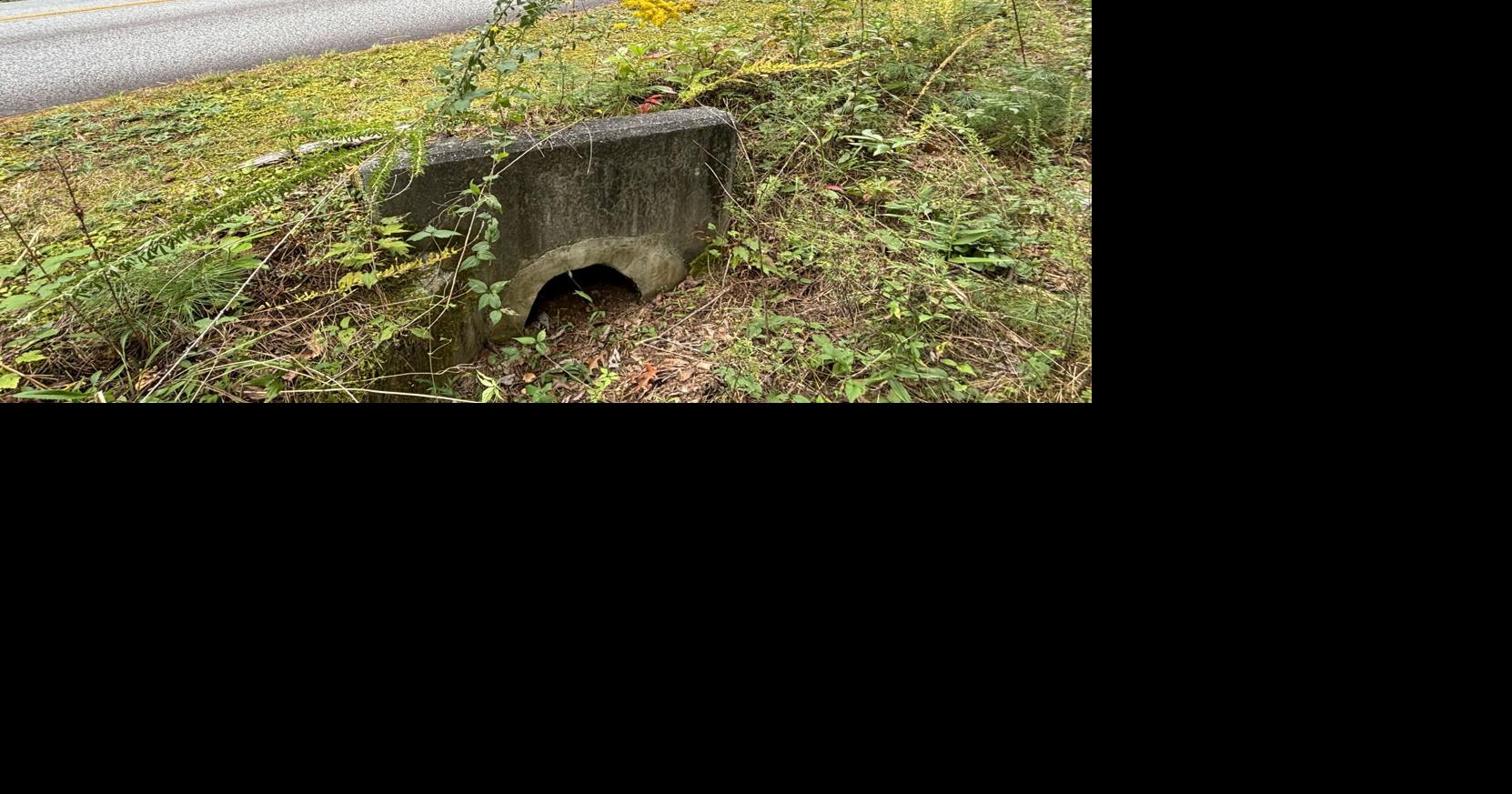 Animals using underpasses at Gorges State Park | News ...