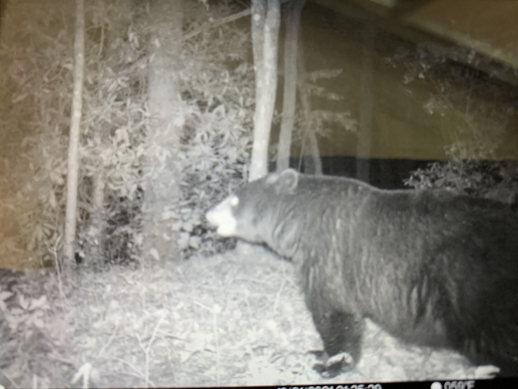 Gorges State Park managed for both people and wildlife | Features