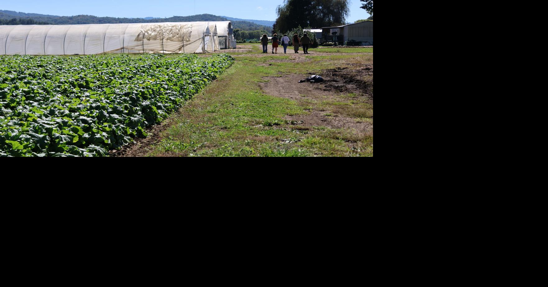 Partnerships bring fresh food to TCS lunchrooms | News ...
