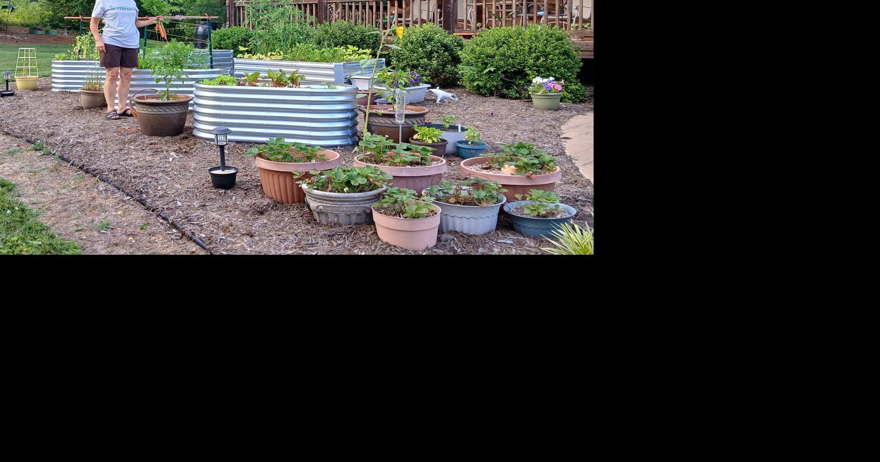 Walker: How to create a larger container garden