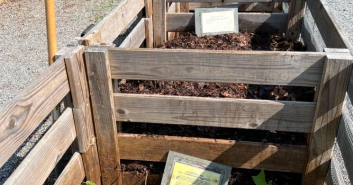 Composting: ‘cooking comfort food for Mother Earth’ | Lifestyles
