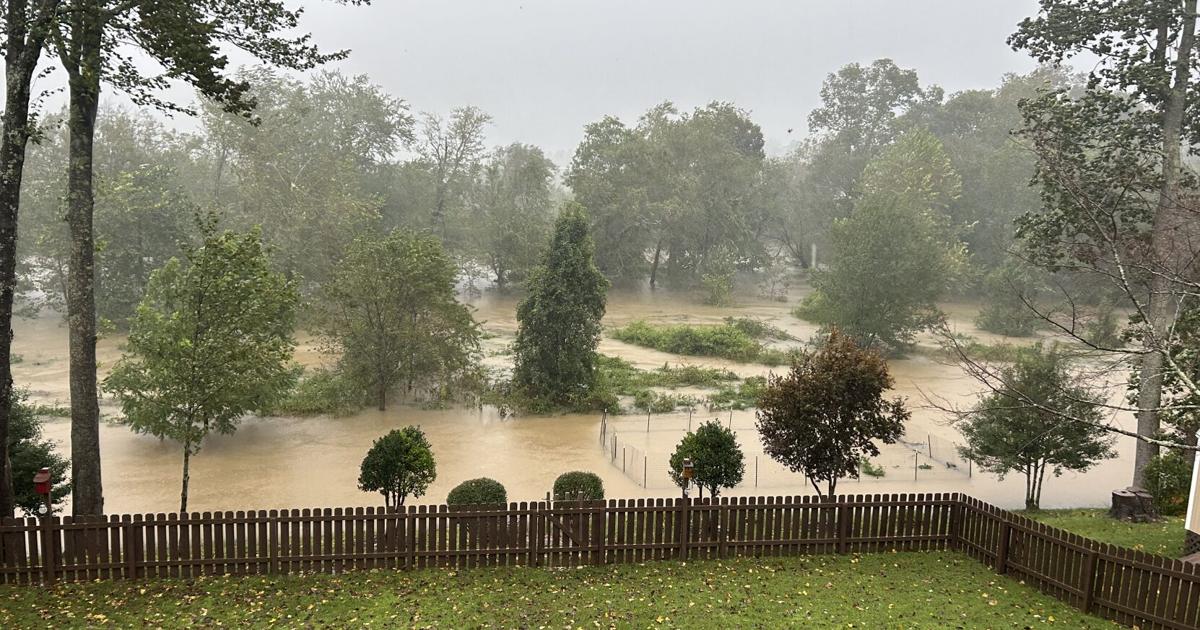 Natural floodplain restorations improve flood safety | News Natural floodplain restorations improve flood safety | News