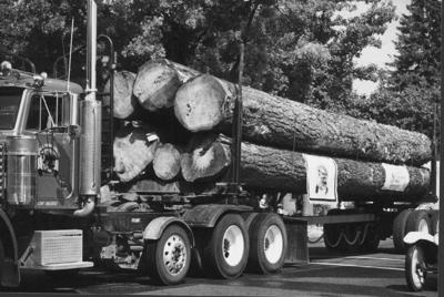 From Tribune Archives...in 2001 a Colville Tribal Logging truck shows off a six log load