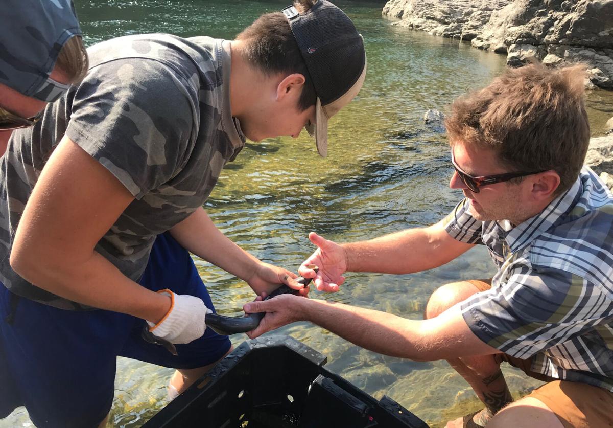From left, Fish Tech Brandon Cate with Biologist Matt Young, right