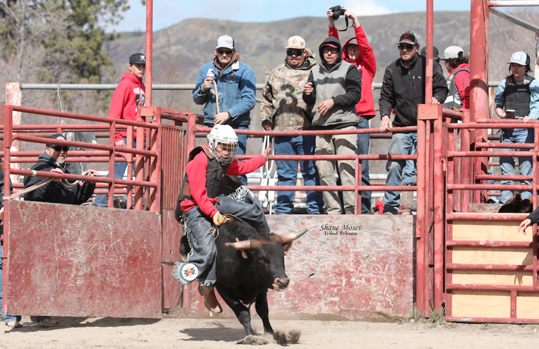 “Riding Rank on The Rez” Shane Proctor Bullriding school draws large ...